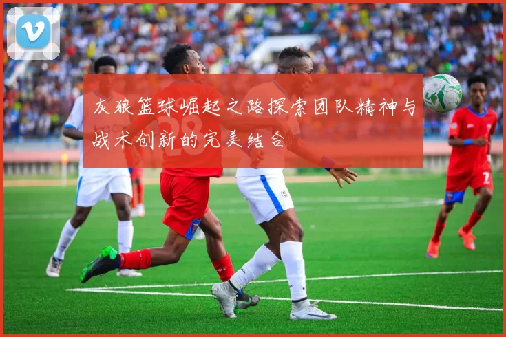 灰狼篮球崛起之路探索团队精神与战术创新的完美结合