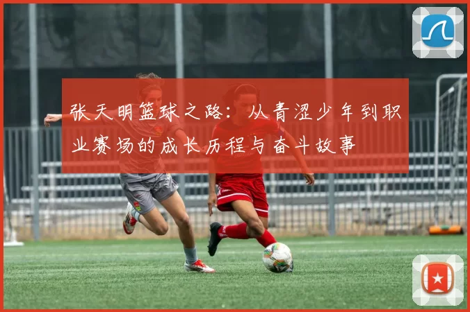 张天明篮球之路：从青涩少年到职业赛场的成长历程与奋斗故事